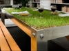 table-herbe